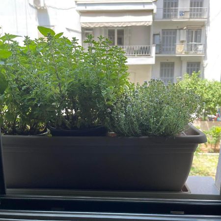 Sapfo Luxury Apartment 1 In Athens Ngoại thất bức ảnh