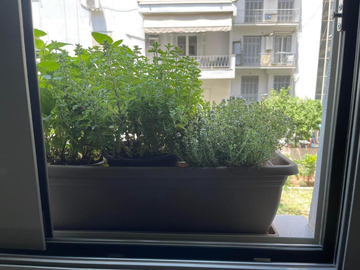 Sapfo Luxury Apartment 1 In Athens Ngoại thất bức ảnh